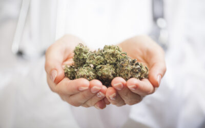 Benefits of Medical Marijuana Tampa, FL 33615